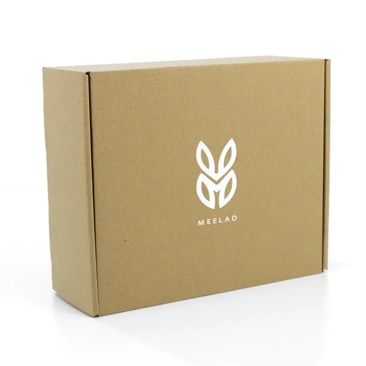 Brown kraft shipping box (4)